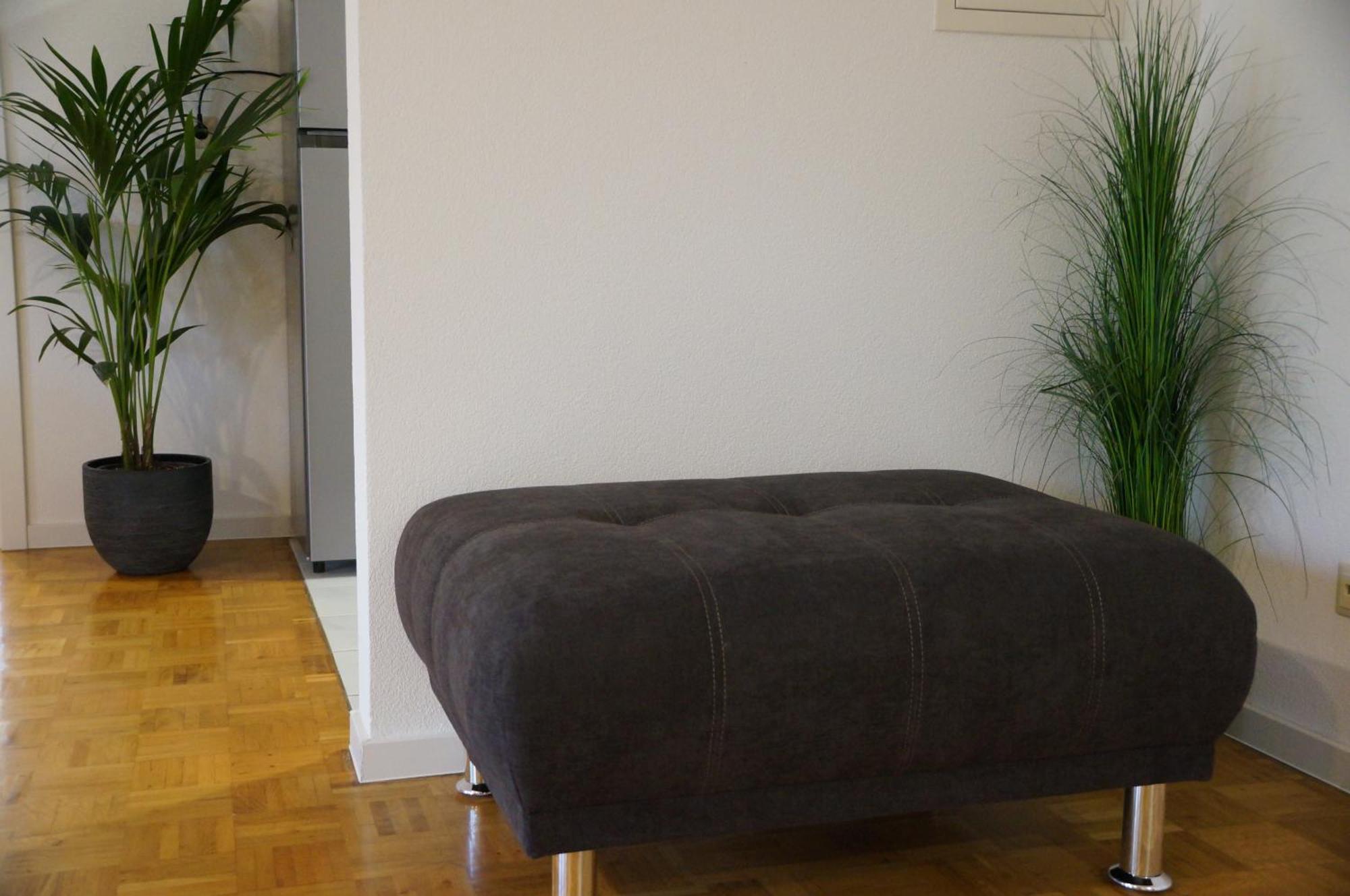 Apartment Suite Sinsheim *