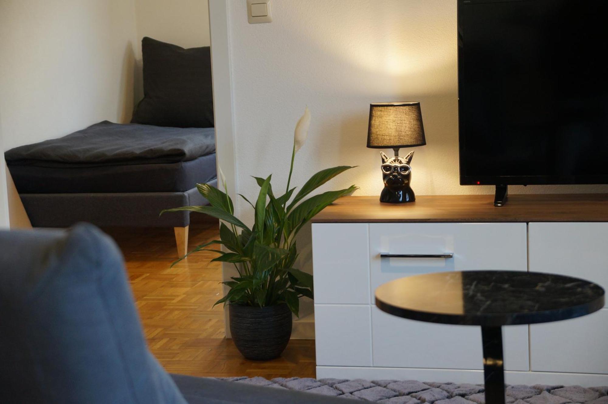 Suite Sinsheim Apartment