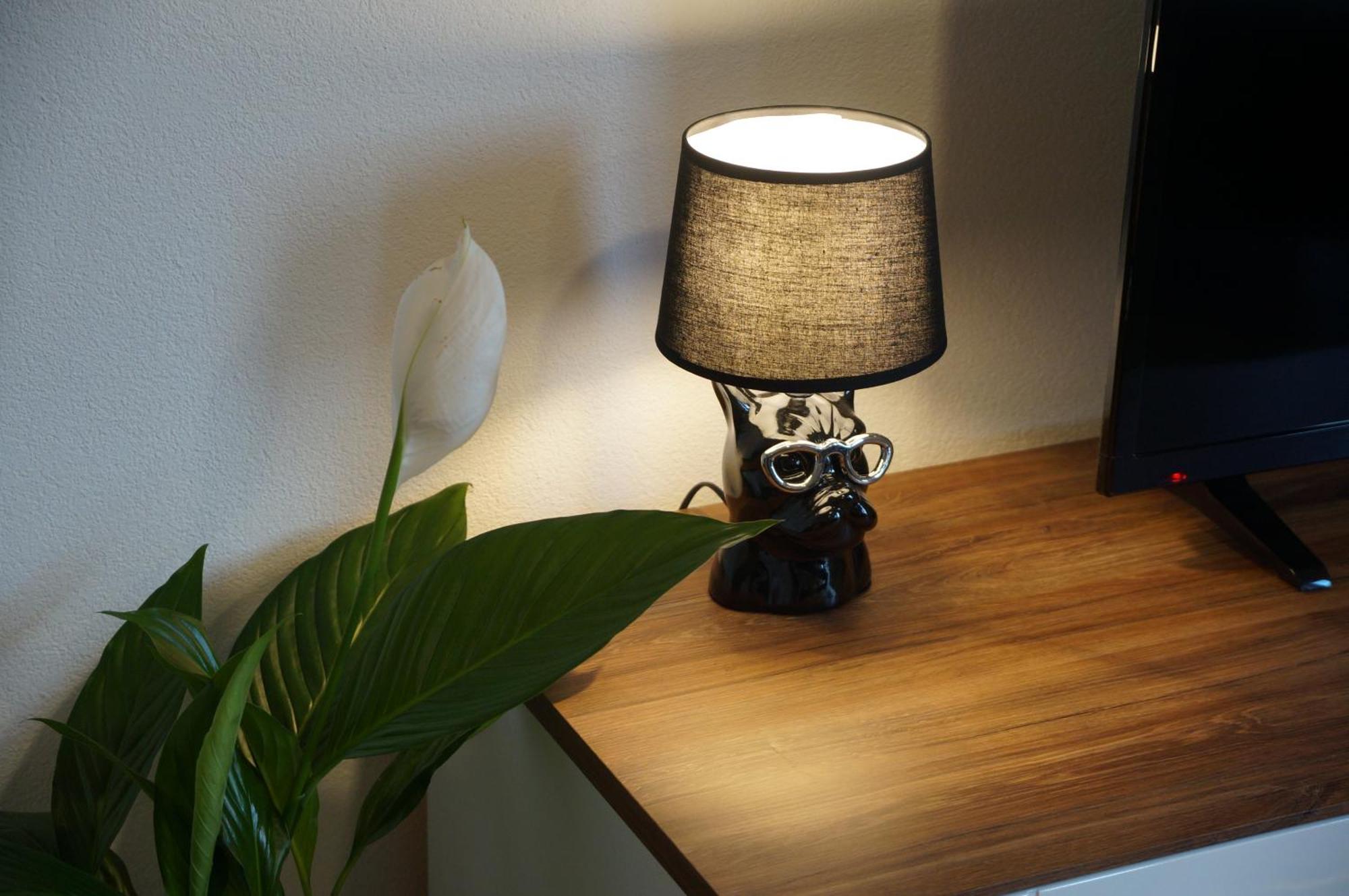 Suite Sinsheim Apartment Sinsheim